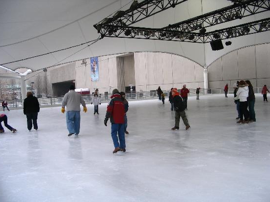 Ice rink business plan: necessary equipment and documents. How much does it cost to build an indoor ice rink