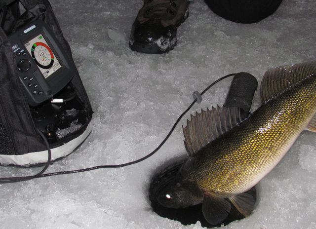 hoe kies je een viszoeker voor wintervissen