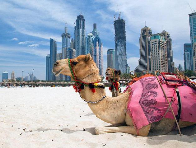 het duurste hotel in Dubai