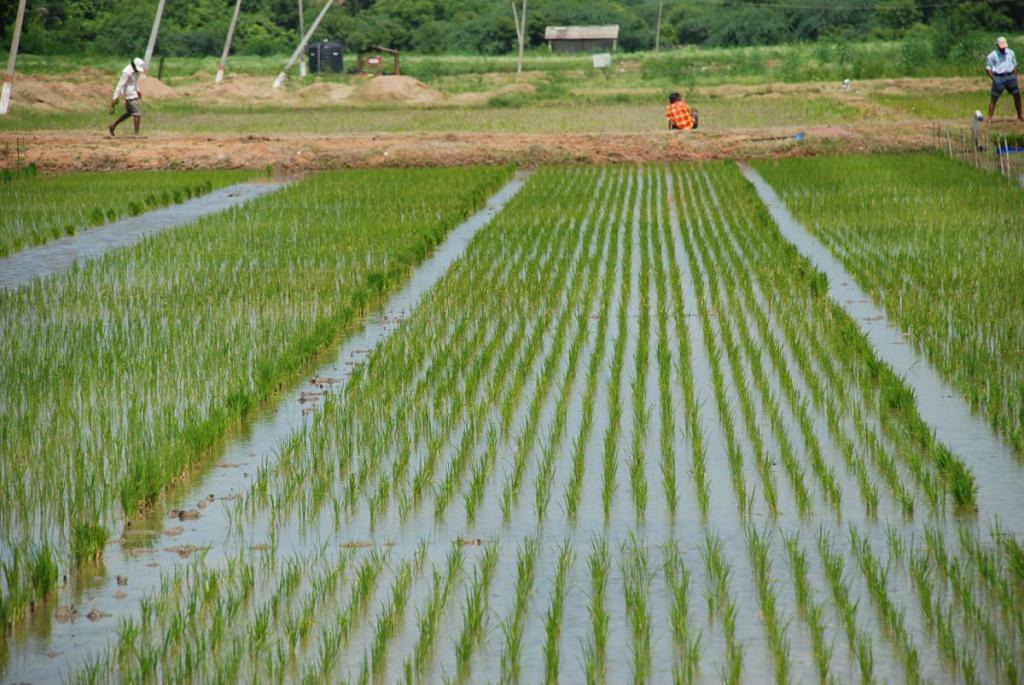 Irrigatie in Azië