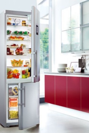  Liebherr 2 구획 냉장고