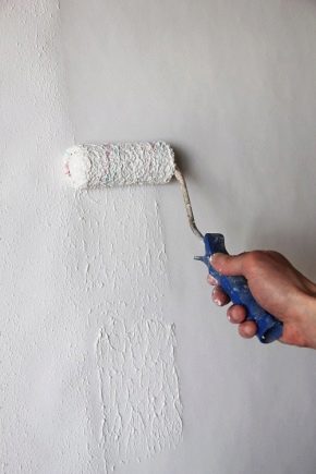  एक रोलर के साथ एक दीवार पेंट कैसे करें?