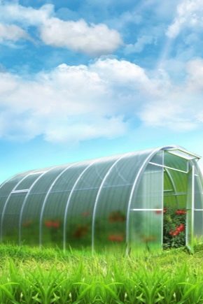 Polykarbonátové skleníky: druhy a výhody