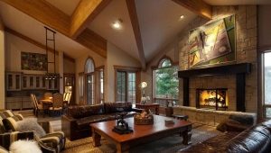  Fireplaces in the living room interior