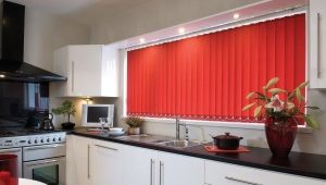  Vertical blinds to the kitchen