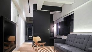  24 평방 미터의 디자인 스튜디오 아파트. m