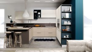  Doors for kitchen cabinets