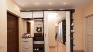  Sliding wardrobe in a hall with a mirror