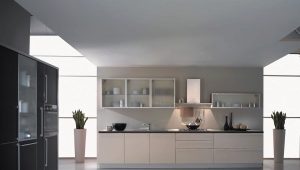  Glass for kitchen cabinets