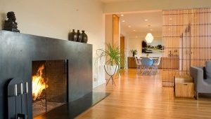  Glass doors for fireplaces and stoves