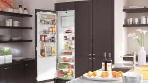  냉동실이있는 싱글 챔버 냉장고