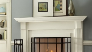 Fireplace vents