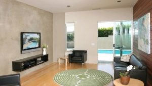  Living room interior design: decorating a wall with a TV