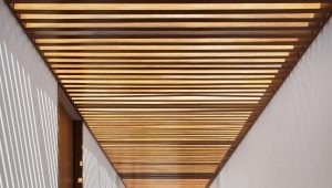  लकड़ी की स्लैट छत: प्रकार और डिजाइन विशेषताएं