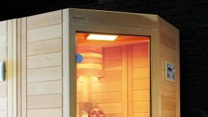  How to arrange a sauna in the house: the secrets of proper installation
