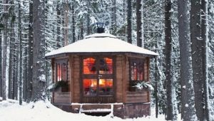  Types and features of winter pavilions