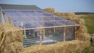  Greenhouse-thermo's: hoe is het geregeld en hoe maak je het zelf?