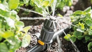  Autowatering in the greenhouse: features and types