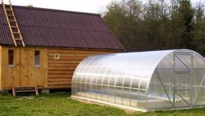  Greenhouses Country 2 DUM: các loại và hướng dẫn lắp ráp