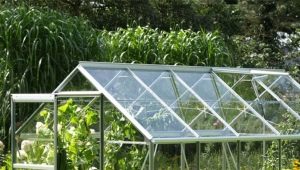  Greenhouses house: options and design features