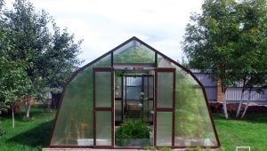  Glass House Greenhouses: Các tính năng và lợi ích của cấu trúc