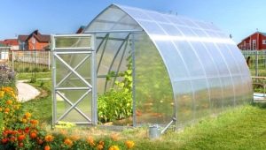  Greenhouses Will: types and characteristics