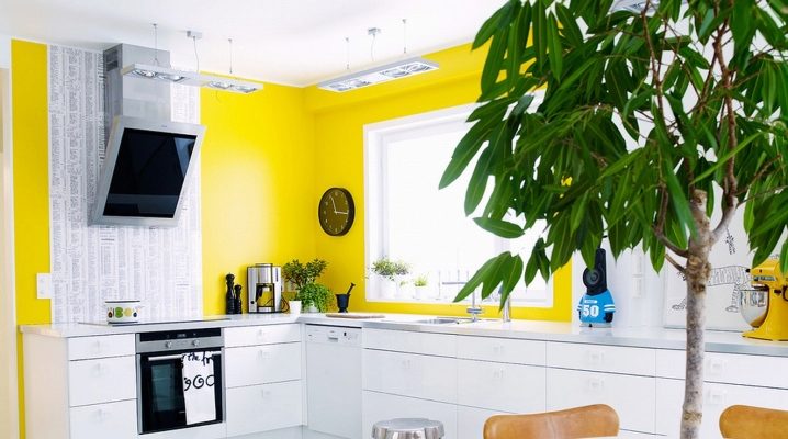  Yellow walls in the kitchen