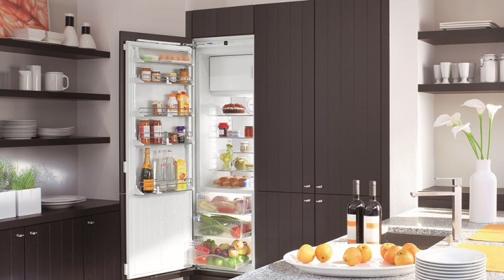 냉동실이있는 싱글 챔버 냉장고