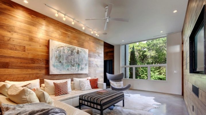 Living room design: subtilitățile de a crea un interior armonios