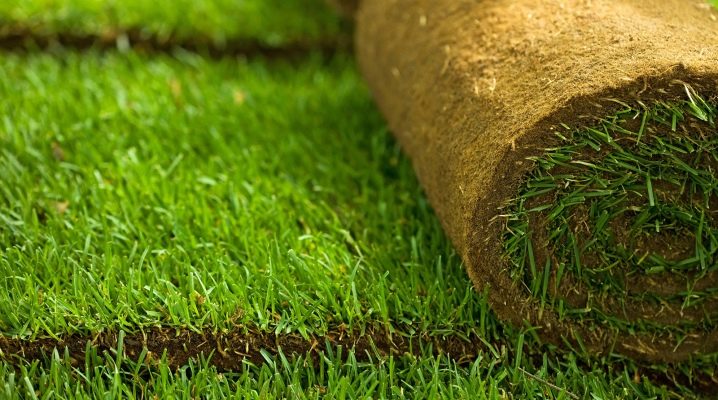  잔디 놓기 : 재료 피쳐 및 레이 기술