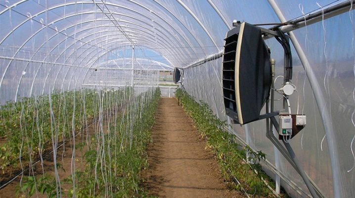  Heaters for greenhouses: types and features of the application