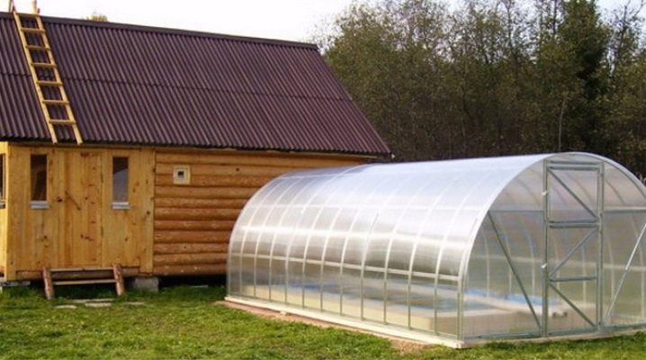  Greenhouses Country 2 DUM: các loại và hướng dẫn lắp ráp
