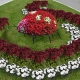  조경 디자인 : 침대를위한 꽃을 선택하는 방법?