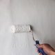  एक रोलर के साथ एक दीवार पेंट कैसे करें?