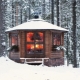  Types and features of winter pavilions