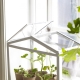  Hogyan készítsünk mini-üvegházat az ablakpárkányon?